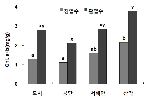 권역별 엽내 엽록소함량 비교