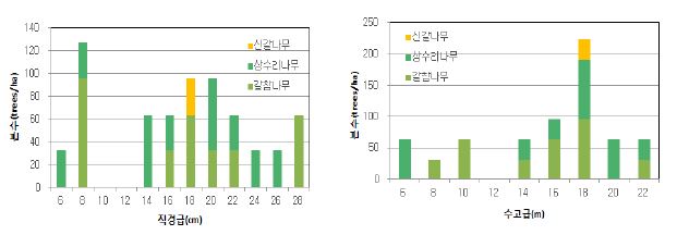 경기 여주군 안금리 활엽수림의 직경급 및 수고급 분포