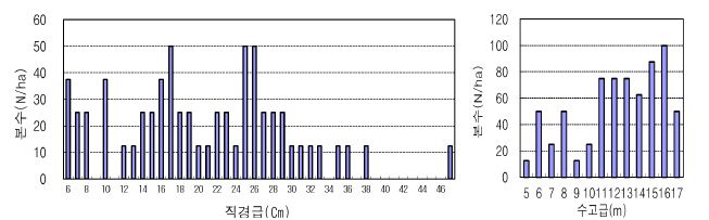 경북 영덕군 영해면 성내리 산 36-2의 직경급 및 수고급 분포