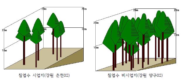 시업지와 비시업지의 임관 층위 구조 비교