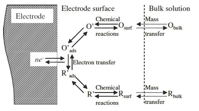 Pathway of a general electrode reaction