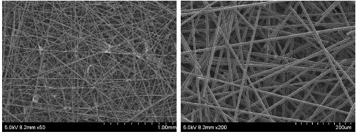 연속생산에 의한 탄소섬유웹(20130904) 드라이반대면의 표면사진, x50, x200