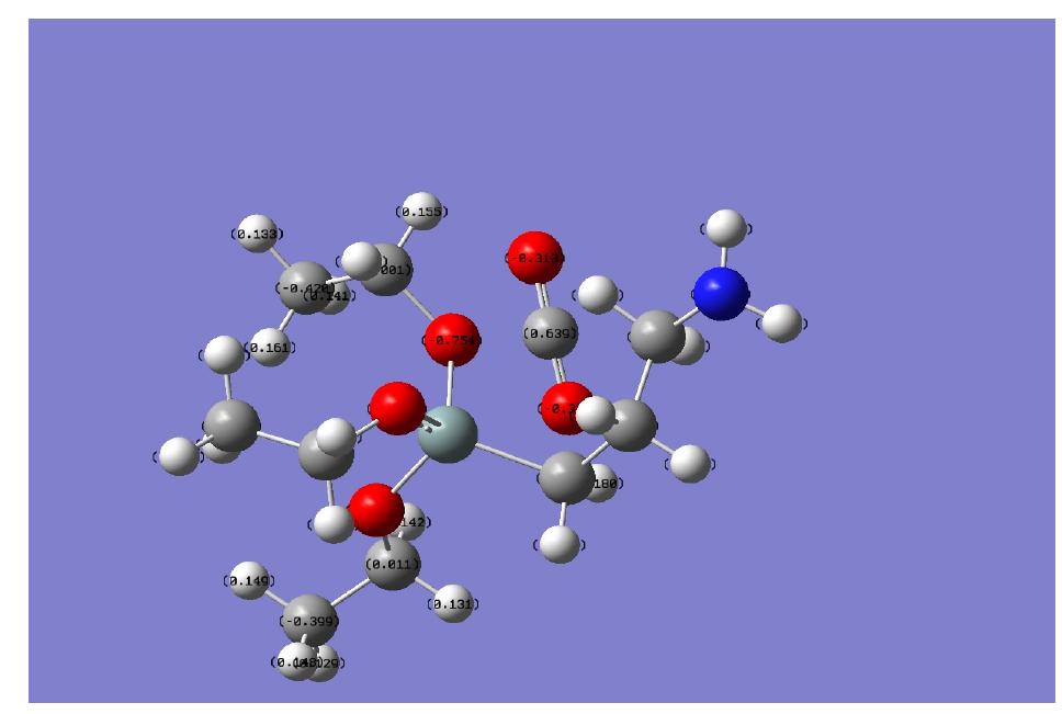 DFT 6-31G level에서 계산된 aminopropyltriethoxysilane과 CO2결합모델의 Mulliken charge