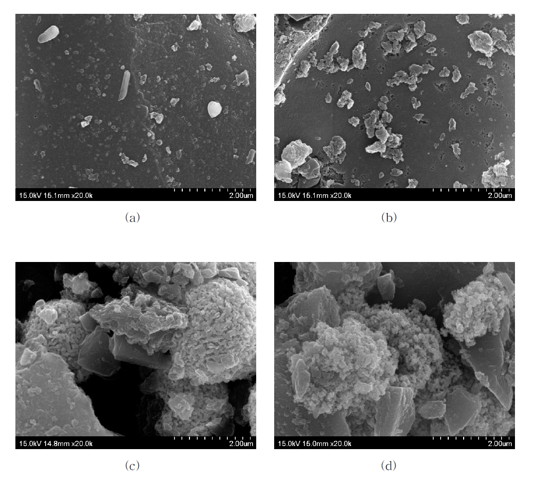 pH=7일때 Co/Mo 몰비에 따른 Co-Mo/AC 시료의 SEM image