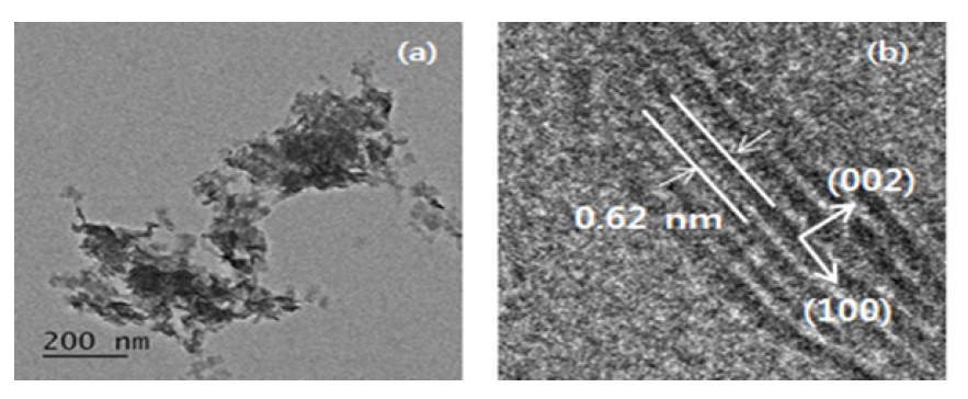 MoS2의 TEM image(350℃, 20 bar)