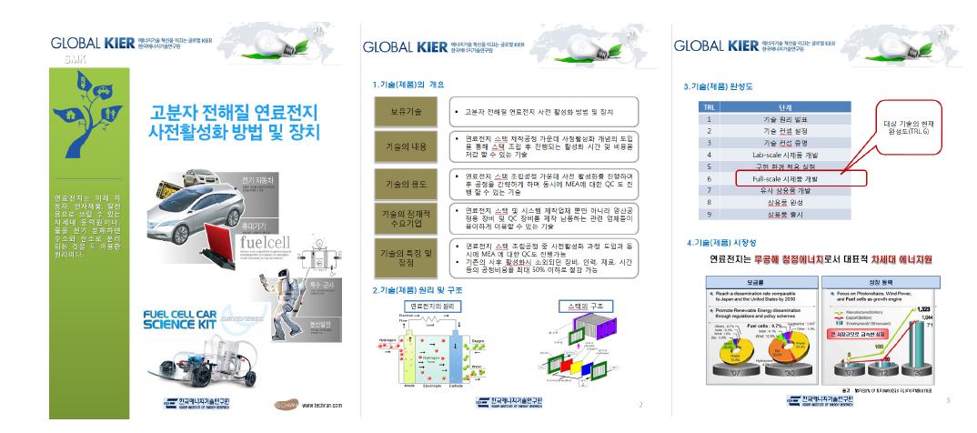 고분자전해질 연료전지 사전활성화 방법 및 장치 SMK