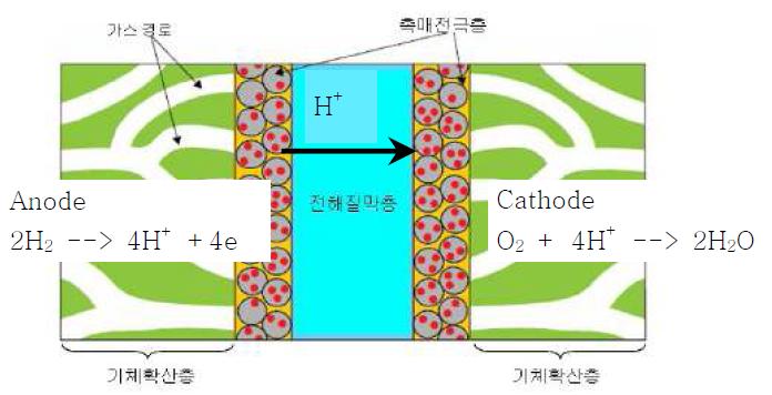 막-전극접합체의 구조 및 기능