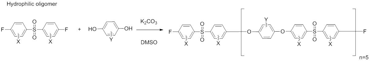 친수성 oligomer 합성