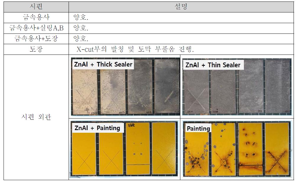 해수(Wet/Dry) 사이클 부식실험 결과 (2013, 7, 24 현재 기준, 8개월경과)