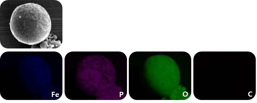 샘플의 EDS 분석 결과 (왼쪽부터 Fe, P, O, C)