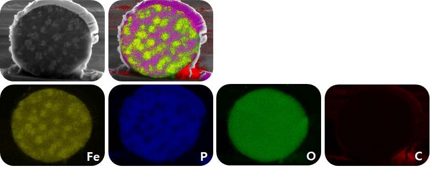 샘플의 FIB 분석 결과 (왼쪽부터 Fe, P, O, C)