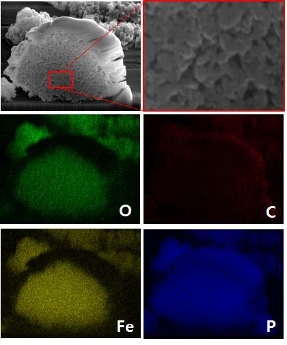 샘플의 FIB와 EDX 분석 결과 (왼쪽부터 Fe, P, O, C)