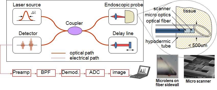 Endoscopic OCT의 개념도