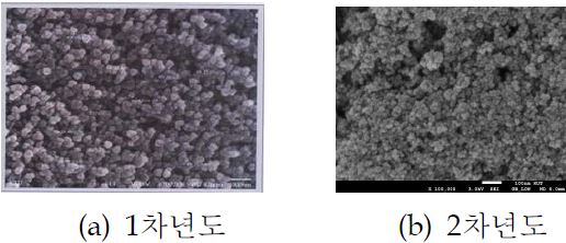 TiO2 나노입자 SEM 결과