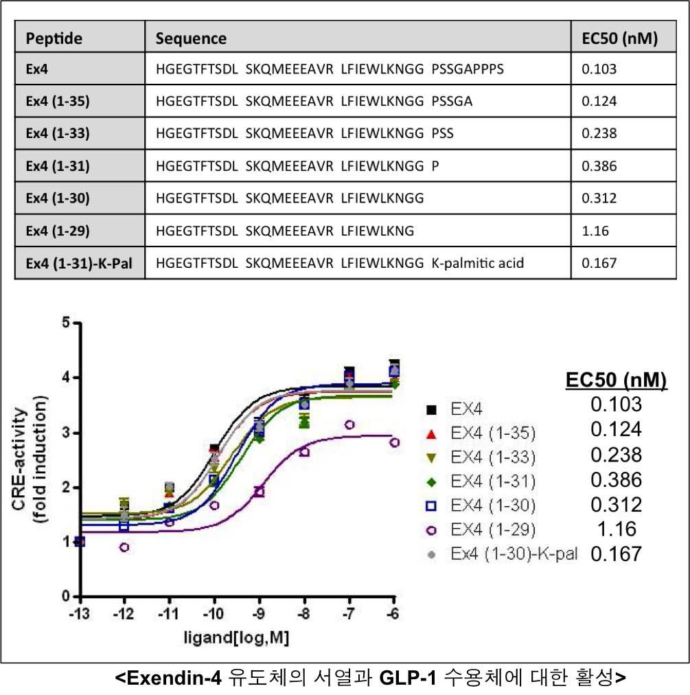 Exendin-4(Exenatide) 및 유도체의 GLP-1 수용체에 대한 활성.