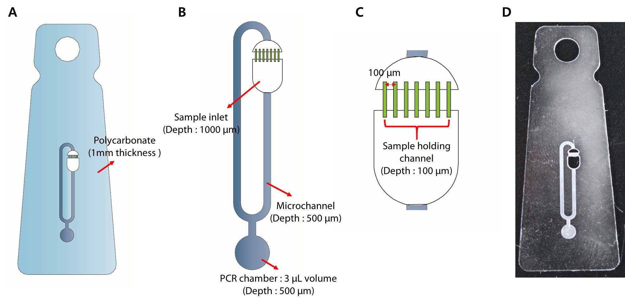그림 43. A. PCR 칩 개략도 B. PCR 수행을 위한 단위 유닛 C. 시료 주입 챔버 및 홀딩 채널 D. PCR 칩 실제 이미지