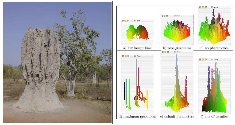 흰개미 집(좌)과 시뮬레이션 모델 (Termites Mound Simulator) 실행 결과(우)