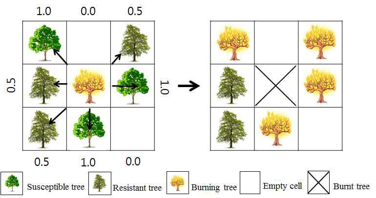종간 나무의 확률에 따른 산불 전이과정