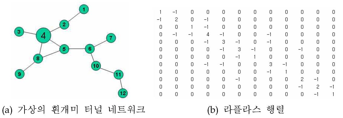 흰개미 터널 네트워크의 행렬 변환