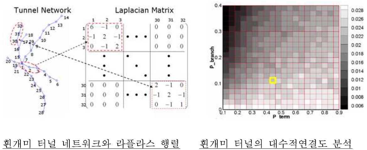 흰개미 터널 네트워크의 라플라스 행렬 변환과 대수적 연결도