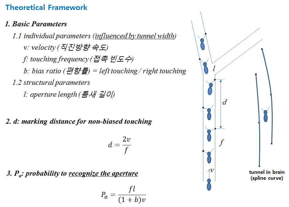 터널내 흰개미의 더듬이 사용과 갈림길 선택 이해를 위한 이론적인 프레임