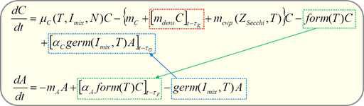 휴면포자의 형성과 발아를 고려한 지연미분방정식 (Delay Differential Equation) 모델