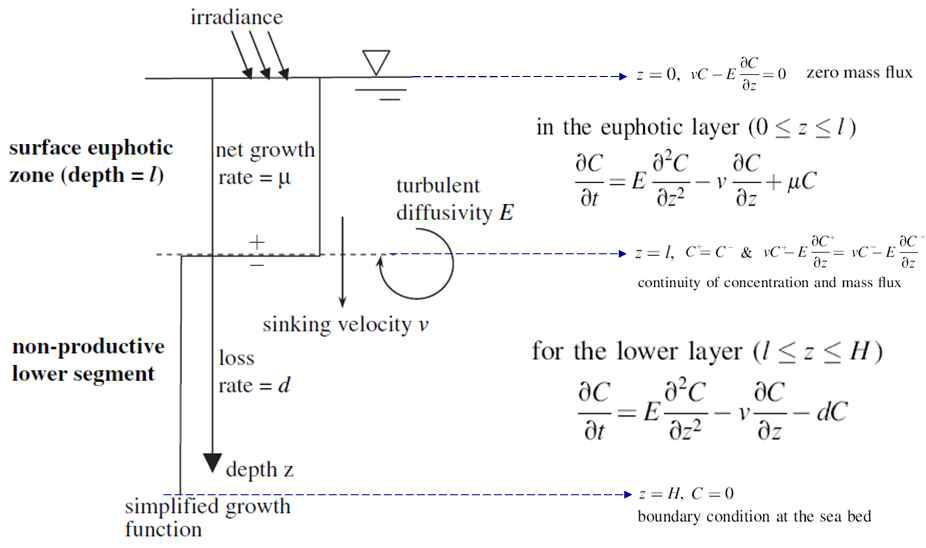 Riely의 유해조류 대번성 개념도(좌), 편미분방정식과 경계조건(우)