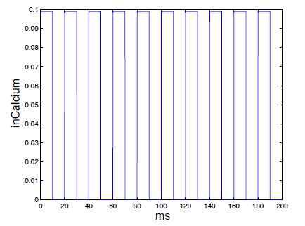 자극으로 들어오는 칼슘의 모양. 가로축은 시간을 나타낸다.