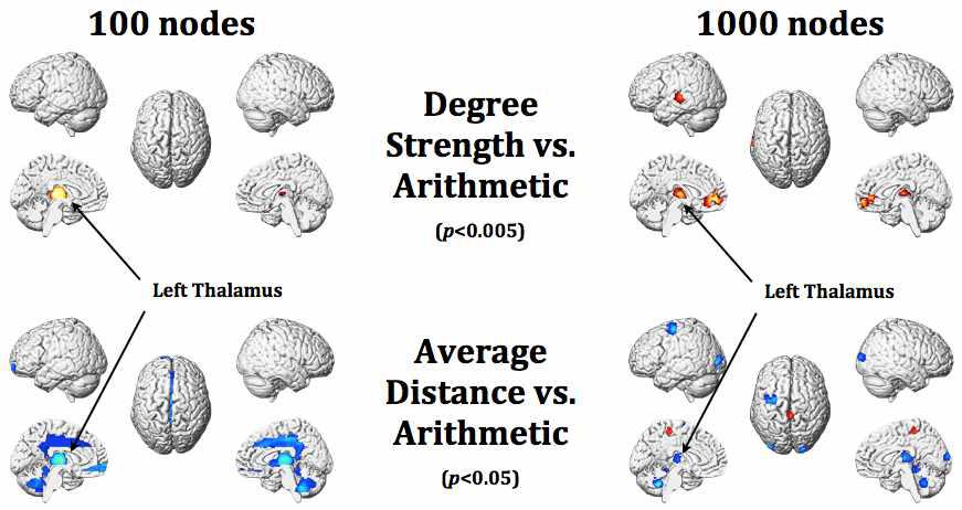 산술능력(arithmetic)과 degree strength 및 average distance와의 상관성분석 결과.