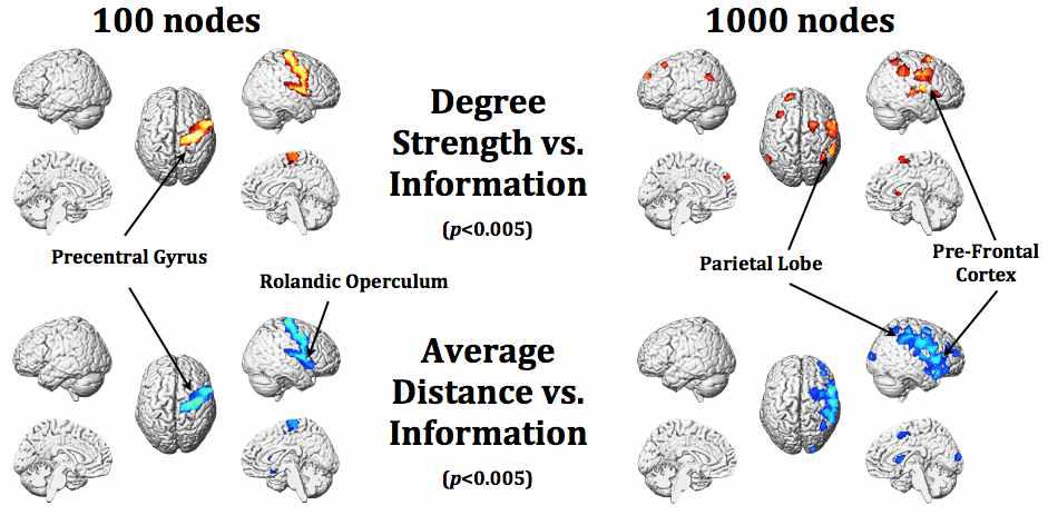 기본지식(information)과 degree strength 및 average distance와의 상관성분석 결과.