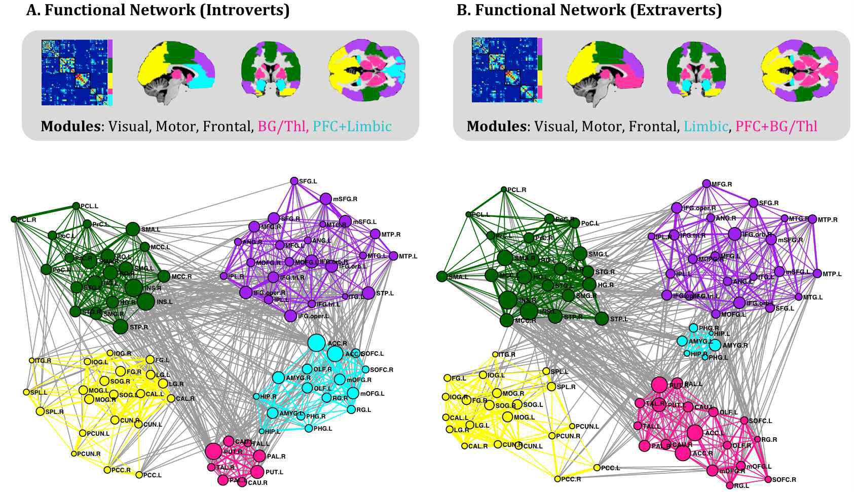 기능 뇌 네트워크 (functional brain network) 모둘 구조 분석 결과: A) 내성적 집단의 모듈 구조, B) 외향적 집단의 모듈구조.