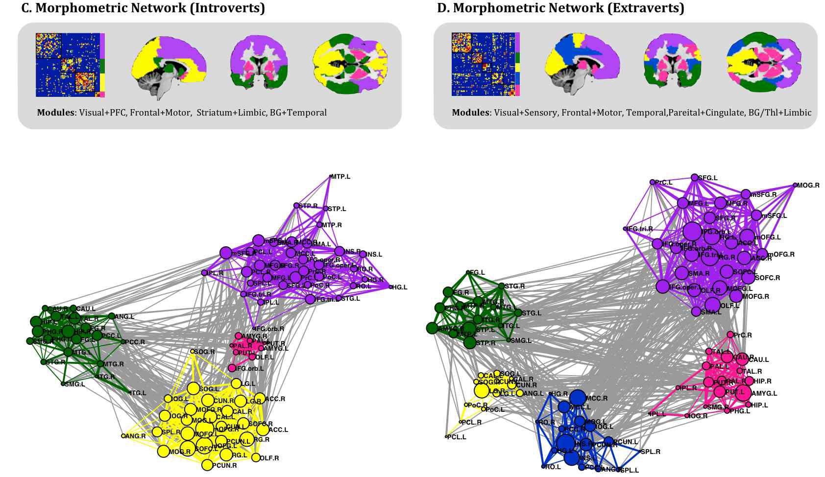 형태 뇌 네트워크 (morphometric brain network) 모둘 구조 분석 결과: C) 내성적 집단의 모듈구조, D) 외향적 집단의 모듈구조.