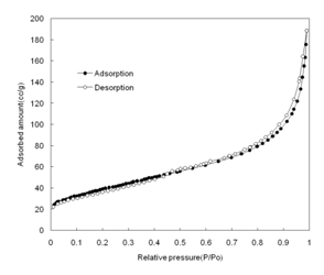 사출촉매의 질소흡착등온곡선 자료