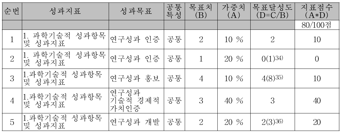 최종성과목표 달성실적