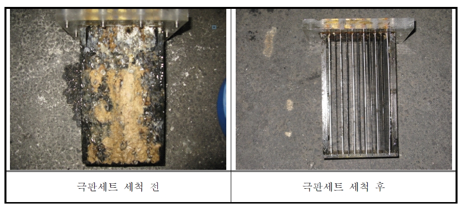 장기운전 이후 산화전리 시스템의 극판모듈 유지관리