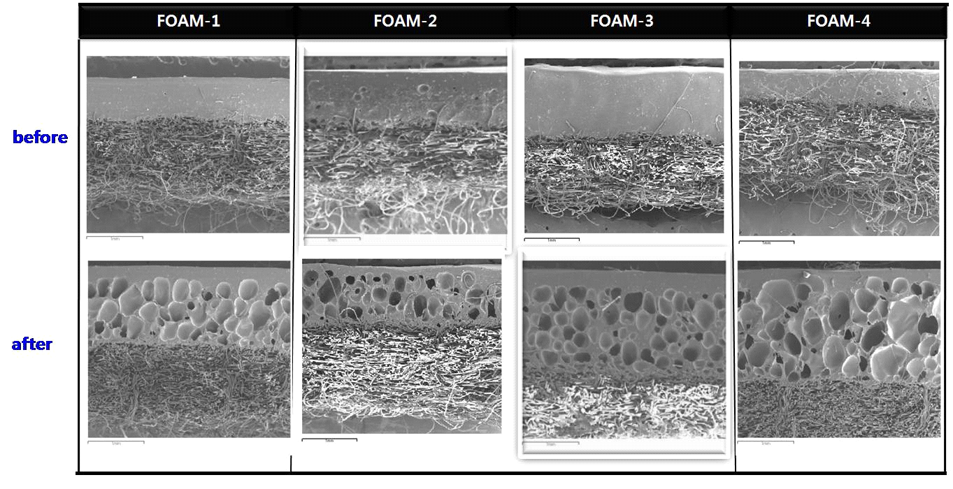 제조된 foam의 SEM Image