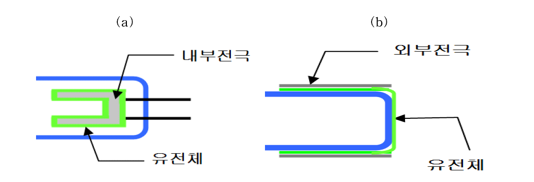 유전체를 코팅한 (a)내부전극과 (b)외부전극 타입 램프