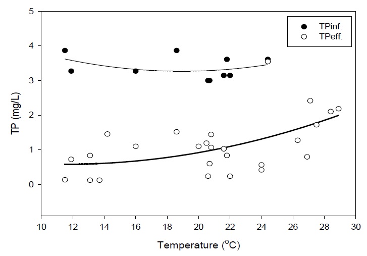 온도에 따른 TP 농도