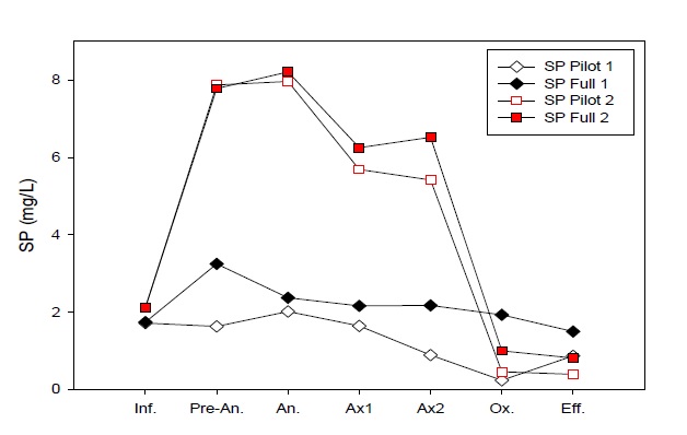 외부탄소원 주입(HAc:HPr 2:1(8ppm:4ppm))에 따른 SP의 농도변화