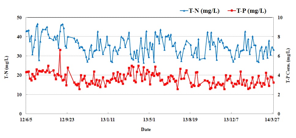 유입수의 T-N, T-P
