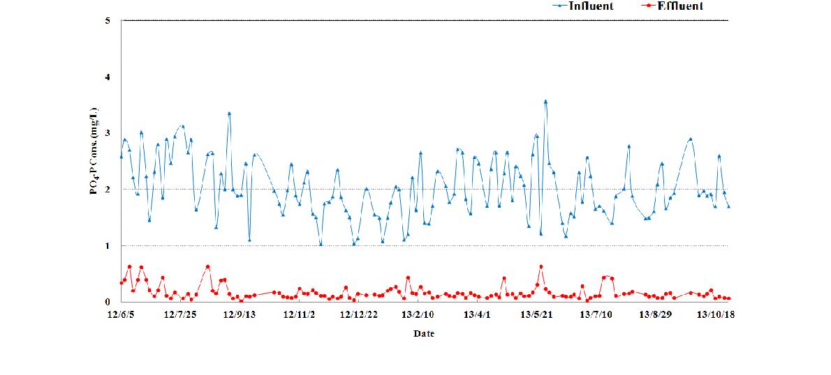 PO -P 제거 효율4