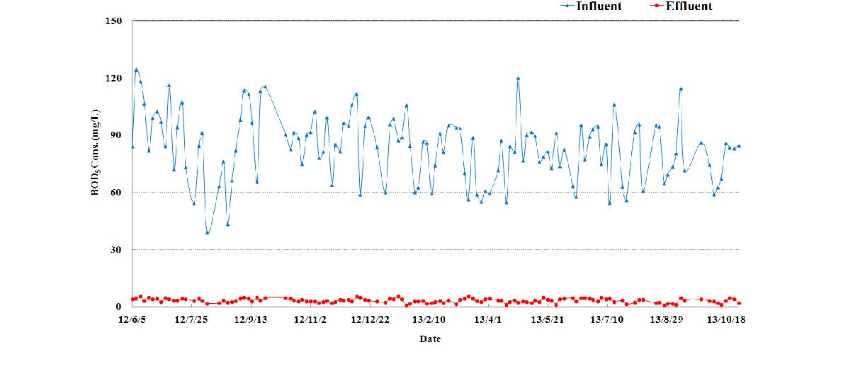 BOD5 제거 효율
