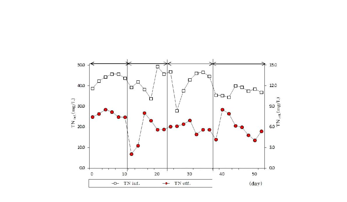 모드별 유입, 유출수의 TN 농도