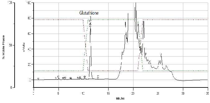 HPLC에 의한 글루타치온 (glutathione) 정량