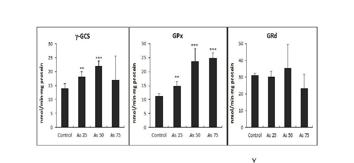 Effect of arsenic treatment on the activities of γ-glutamylcysteine ligase (γ-GCL), glutathione peroxidase (GPx), and glutathione reductase (GRd) in Lemna paucicostata.