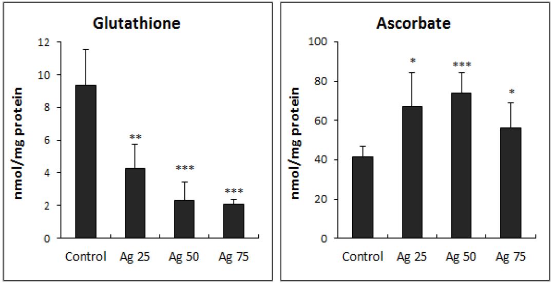 Effect of silver treatment on the contents of glutathione and ascorbic acid in Lemna paucicostata. Results are expressed as means ± SD (n=5). *p < 0.05; **p < 0.01; ***p < 0.001.