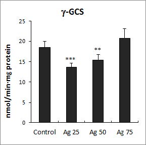 Effect of silver treatment on the activities of γ-glutamylcysteine ligase (γ-GCL) in Lemna paucicostata. Results are expressed as means ± SD (n=5). *p < 0.05; **p < 0.01; ***p < 0.001