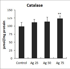 Effect of silver treatment on the activities of catalase in Lemna paucicostata. Results are expressed as means ± SD (n=5). *p < 0.05; **p < 0.01; ***p < 0.001.