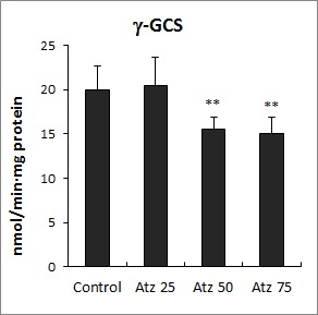 Effect of atrazine treatment on the activities of γ-glutamyl -cysteine ligase (γ-GCS) in Lemna paucicostata. Results are expressed as means ± SD (n=5). *p < 0.05; **p < 0.01; ***p < 0.001.