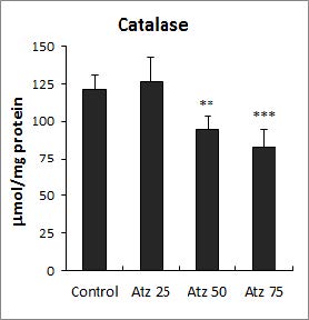 Effect of atrazine treatment on the activities of catalase in Lemna paucicostata.